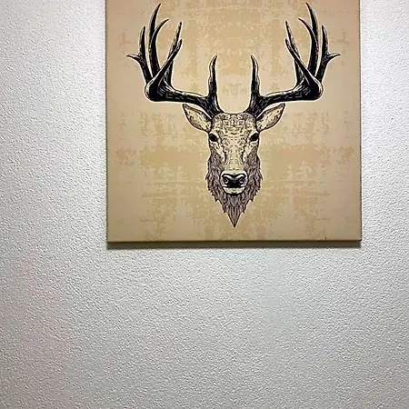 Roessle Oda ve Kahvaltı 3*